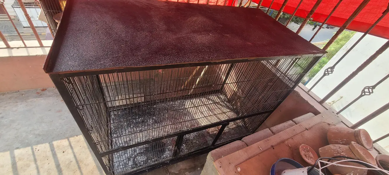 angle birds cage for sale, colony and flying cage — photo 3