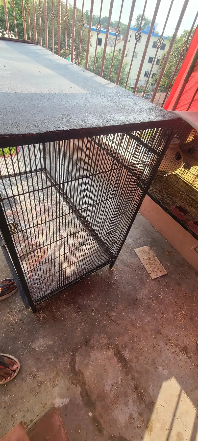angle birds cage for sale, colony and flying cage — photo 4