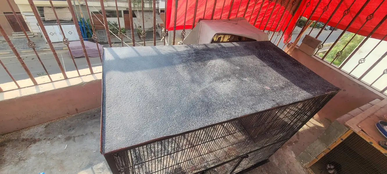angle birds cage for sale, colony and flying cage — photo 8