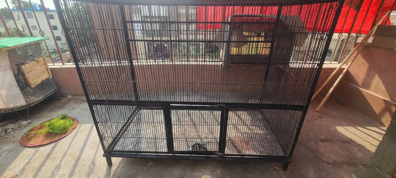 angle birds cage for sale, colony and flying cage — photo 9
