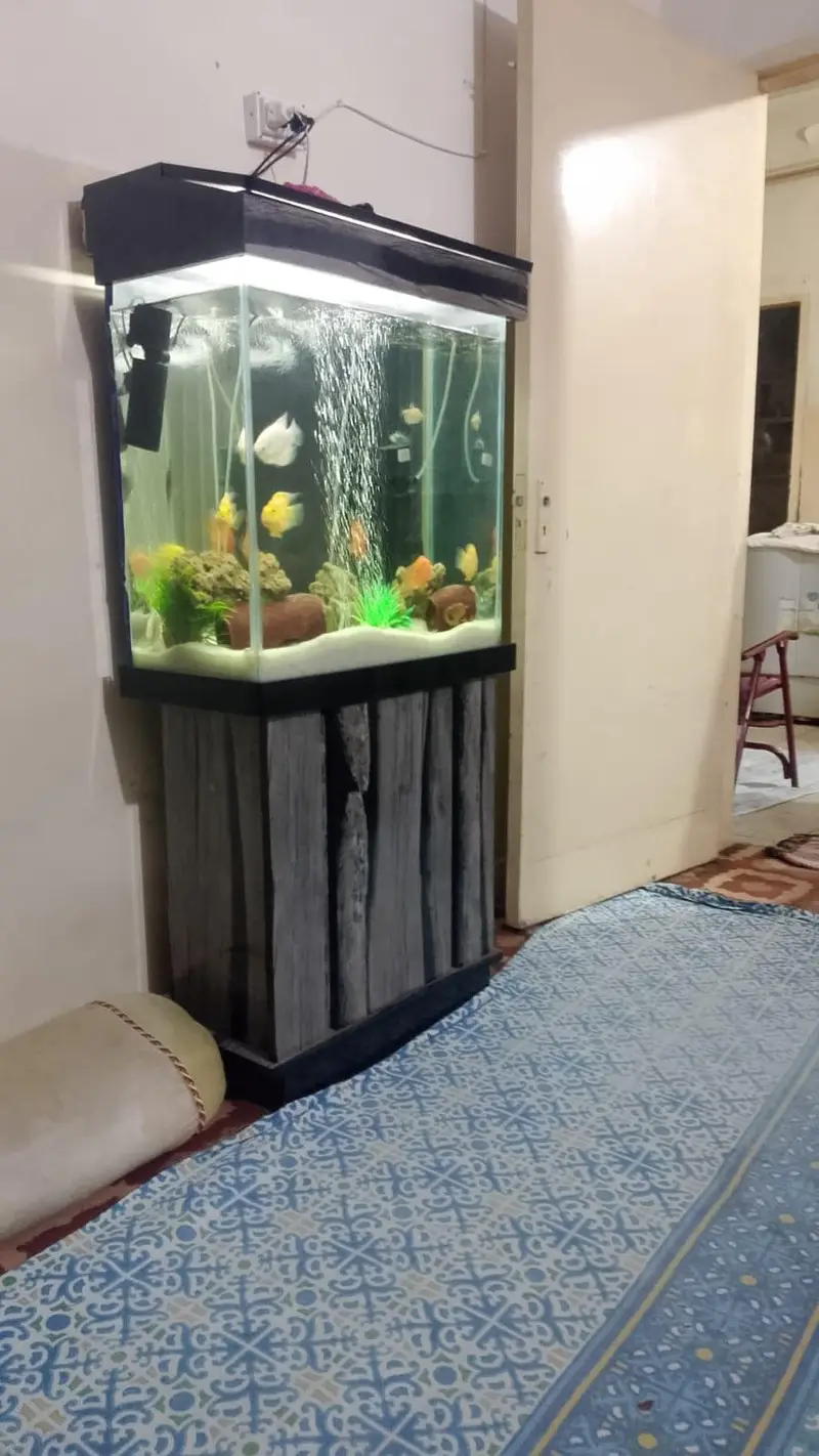 aqurium with fishes — photo 3