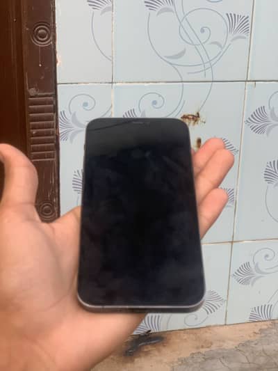 Apple iPhone 12 Pro