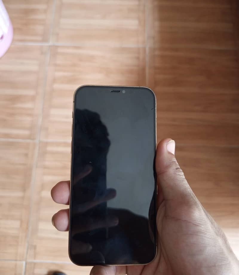 Apple iPhone 12 Pro 4