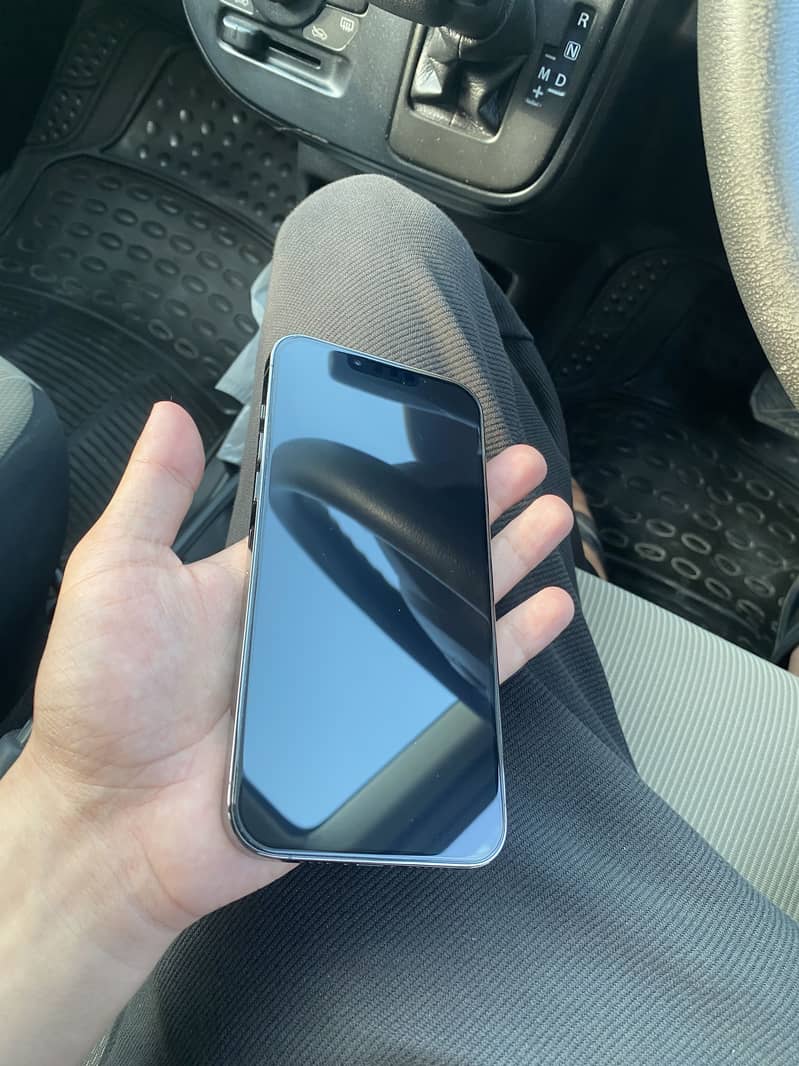 Apple iPhone 13 Pro Max 6