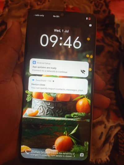 Vivo Y04