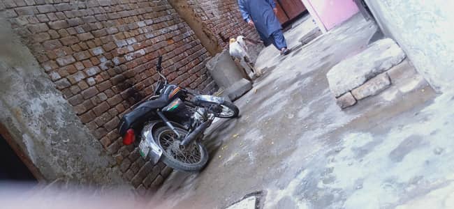 bike for rent