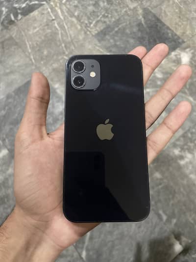 Apple iPhone 12