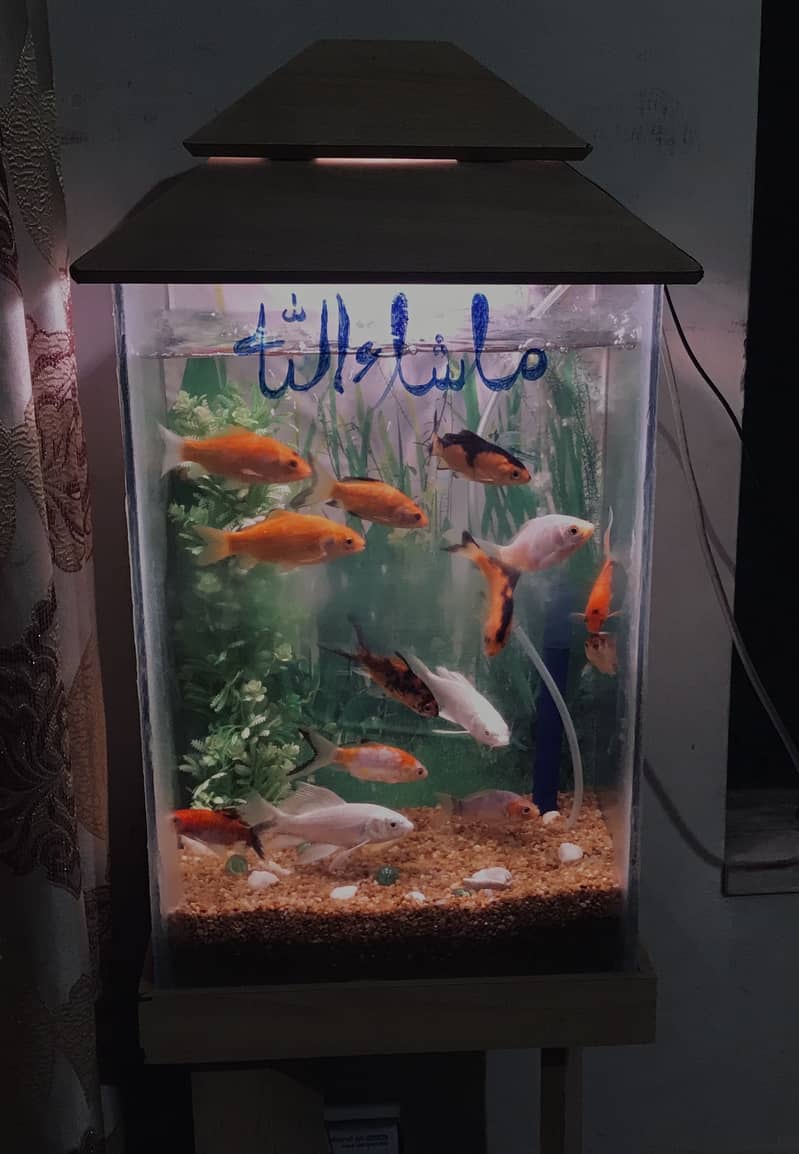 Fish with ecorem and trole 1