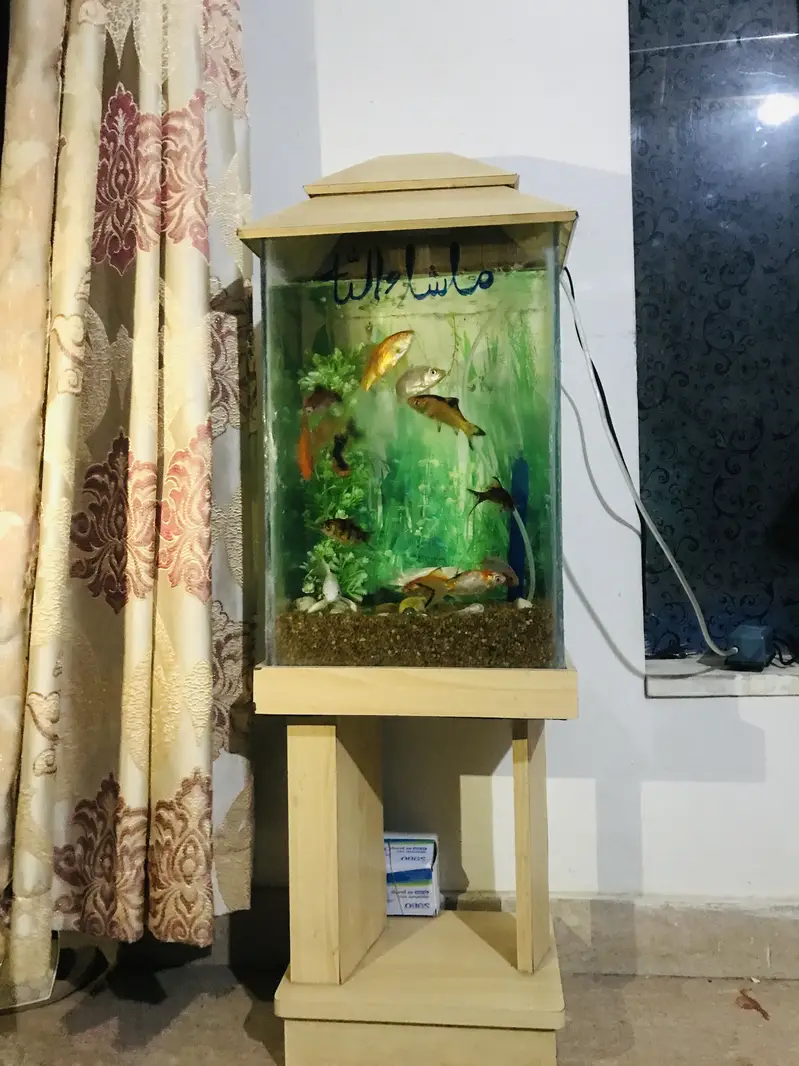 Fish with ecorem and trole — photo 6