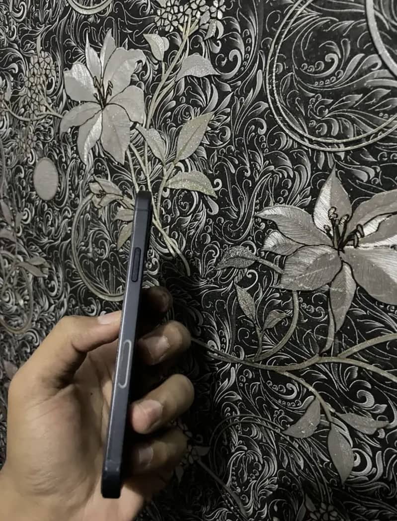 Apple iPhone 12 2