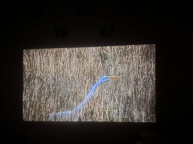 projector 3