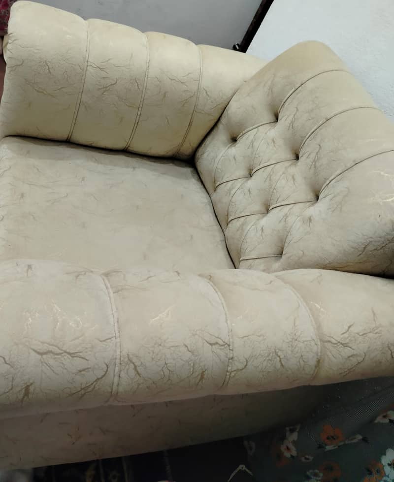 Molty Foam,premium Sofa Set 5