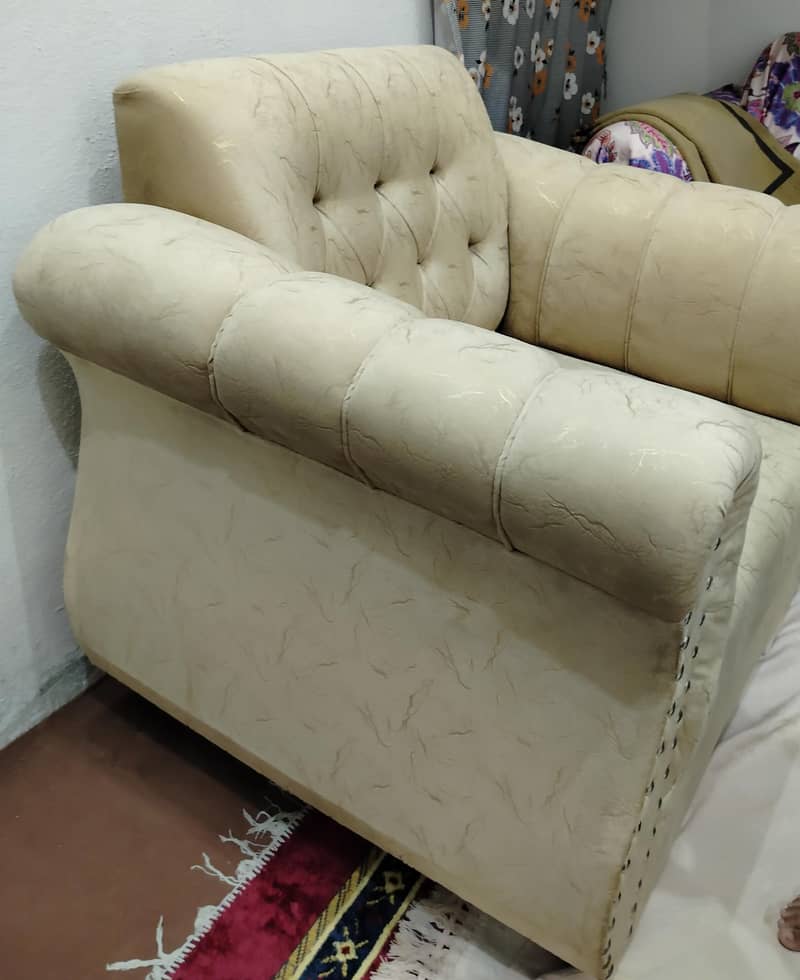 Molty Foam,premium Sofa Set 6