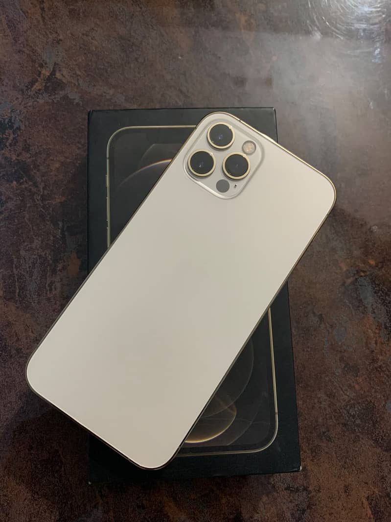iPhone 12 Pro 1