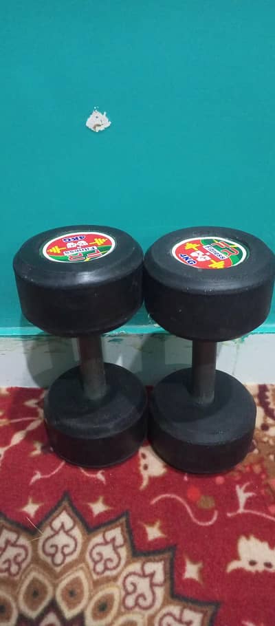 4kg dumbell pair