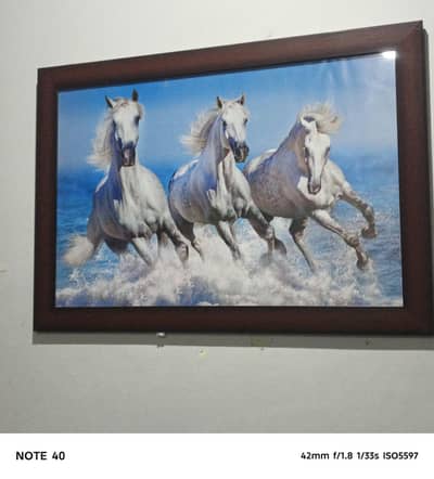 : 3 Running White Horses in Water