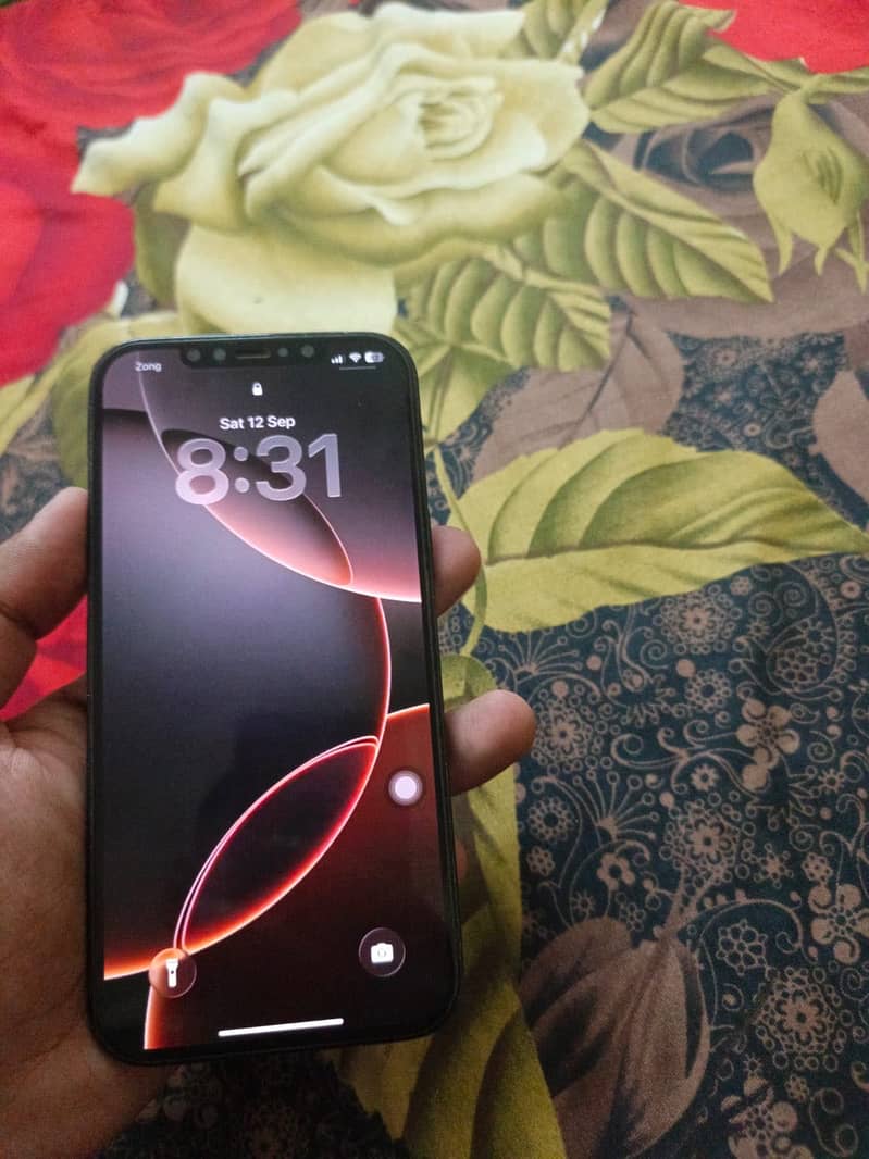 Apple iPhone 12 Pro Max 2