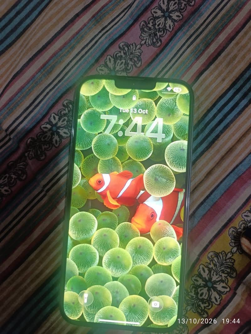 Apple iPhone 13 Pro Max 4