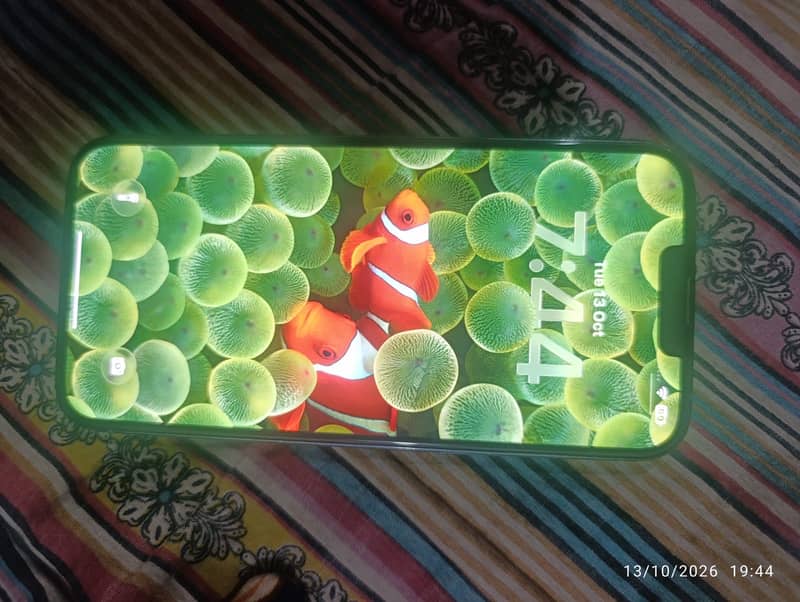 Apple iPhone 13 Pro Max 6