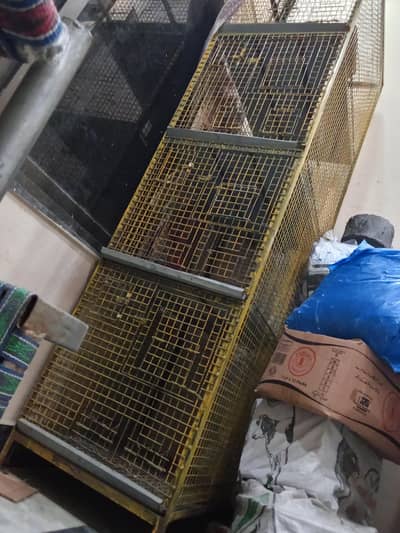 parrots cage 4 x 4