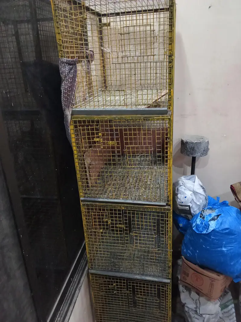 parrots cage 4 x 4 — photo 4