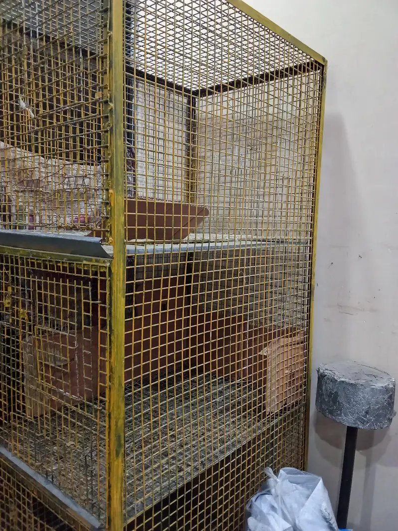 parrots cage 4 x 4 — photo 7
