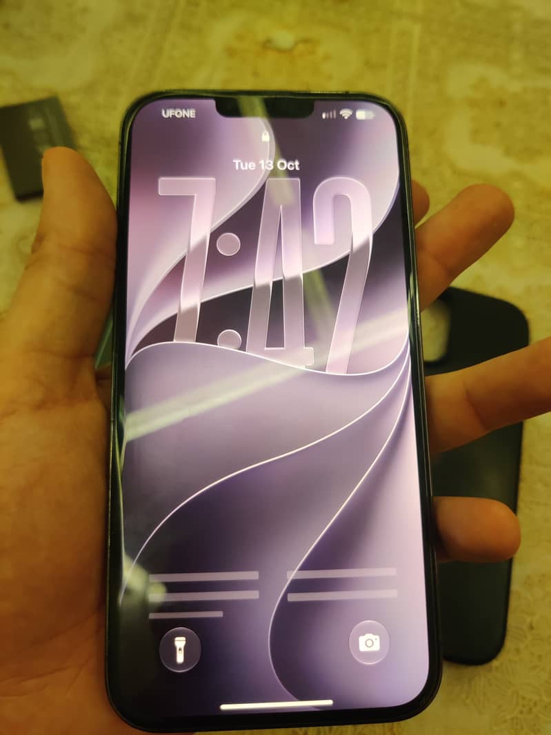 Apple iPhone 13 Pro Max 1