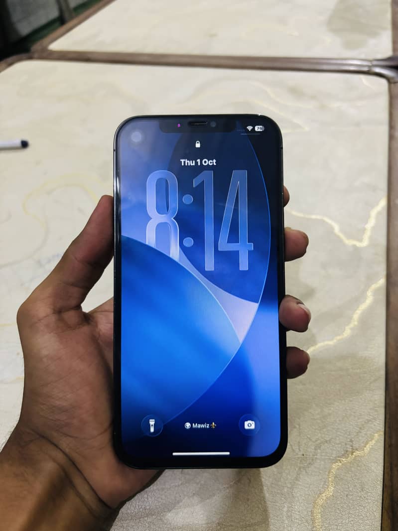 Apple iPhone 12 Pro Max 1