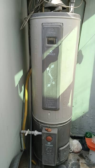 Full Size 35 Gallon Geyser