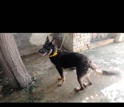 for sale