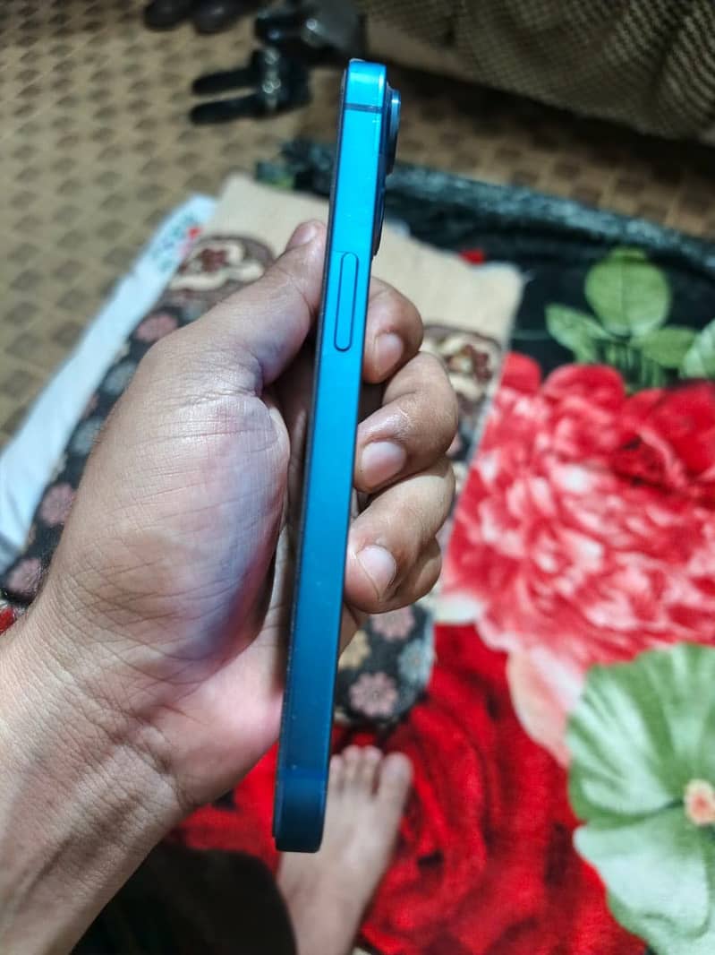 Apple iPhone 13 0