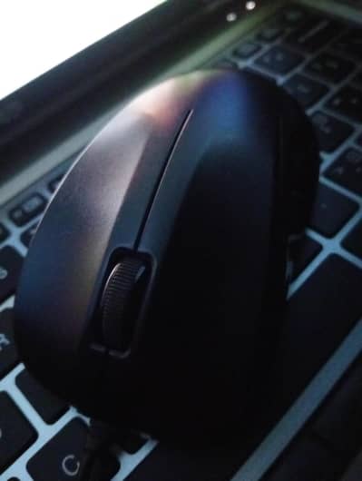 Mouse
