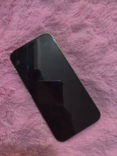 Apple iPhone 13 Pro