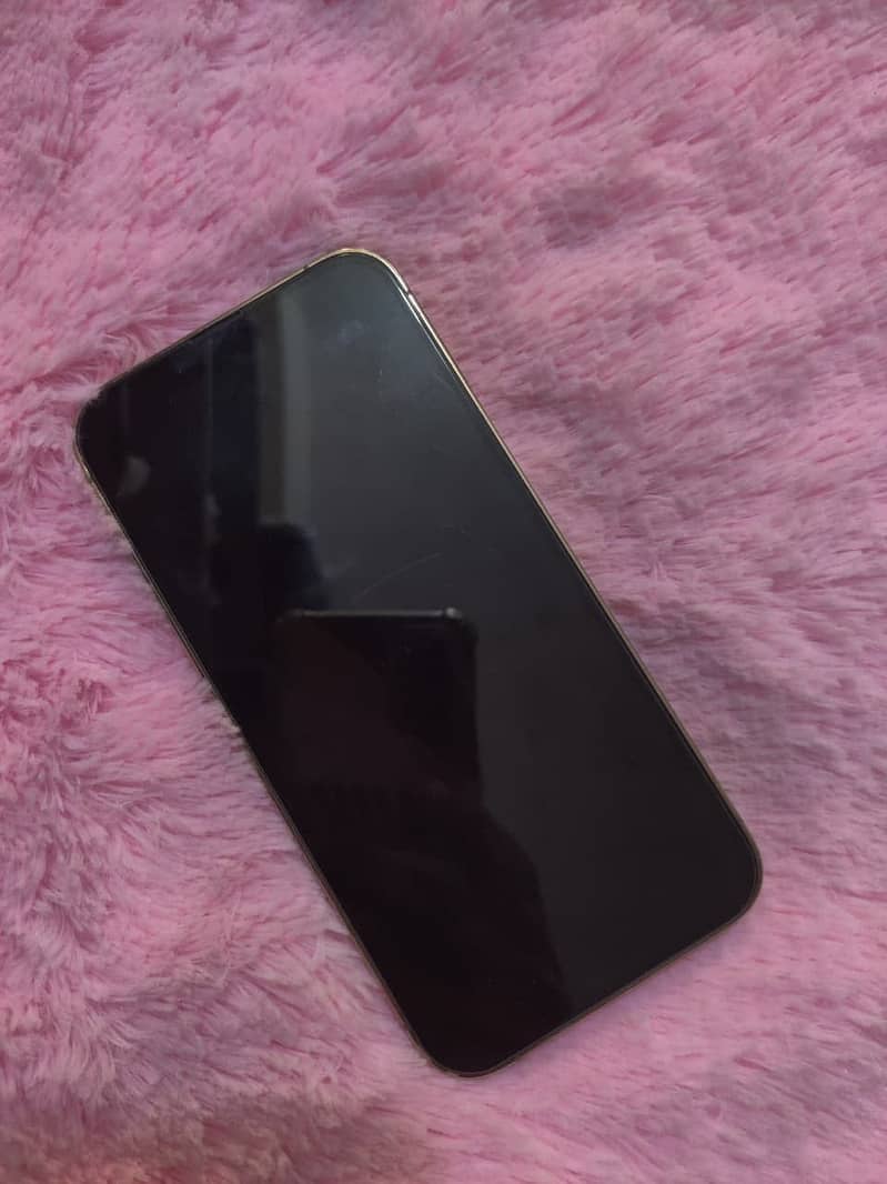 Apple iPhone 13 Pro 0