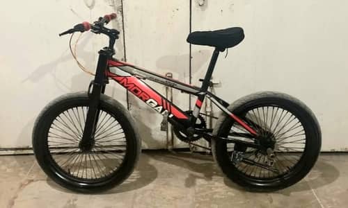 Mountain bike