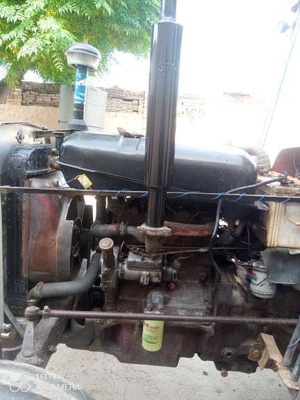 Masee 240 4