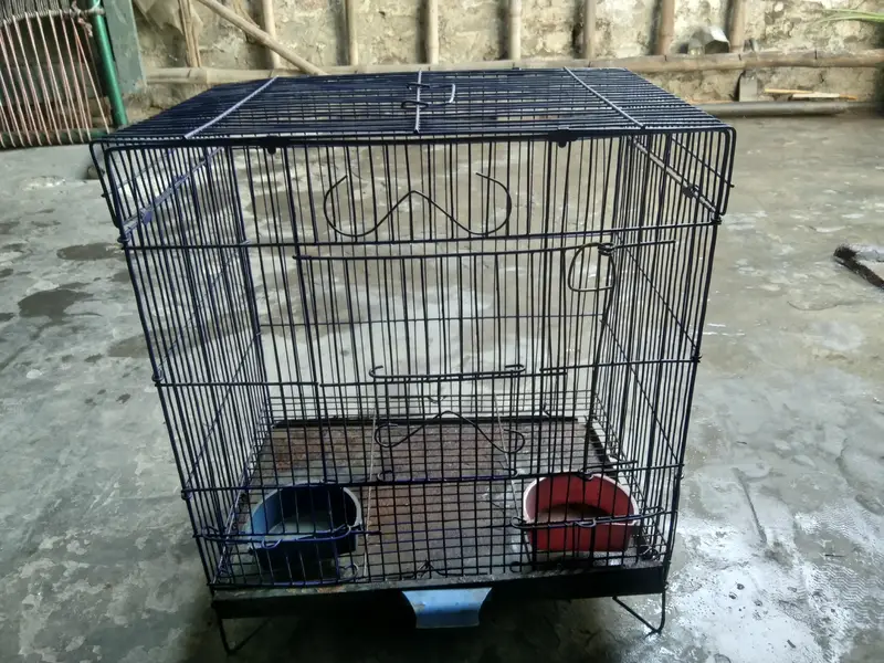 bird cage — photo 2