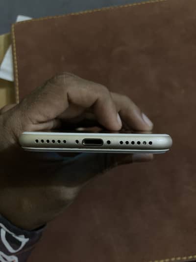 Apple iPhone 7