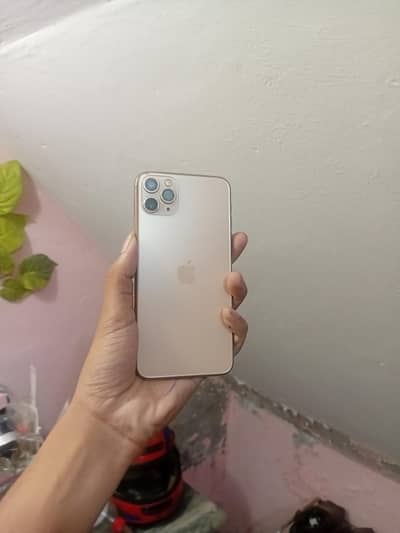 Apple iPhone 11 Pro Max