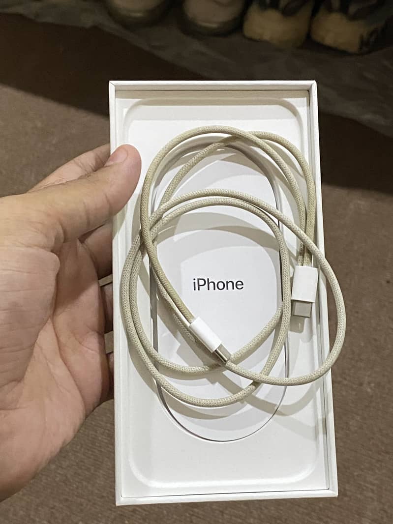 Apple iPhone 16 Pro Max 1