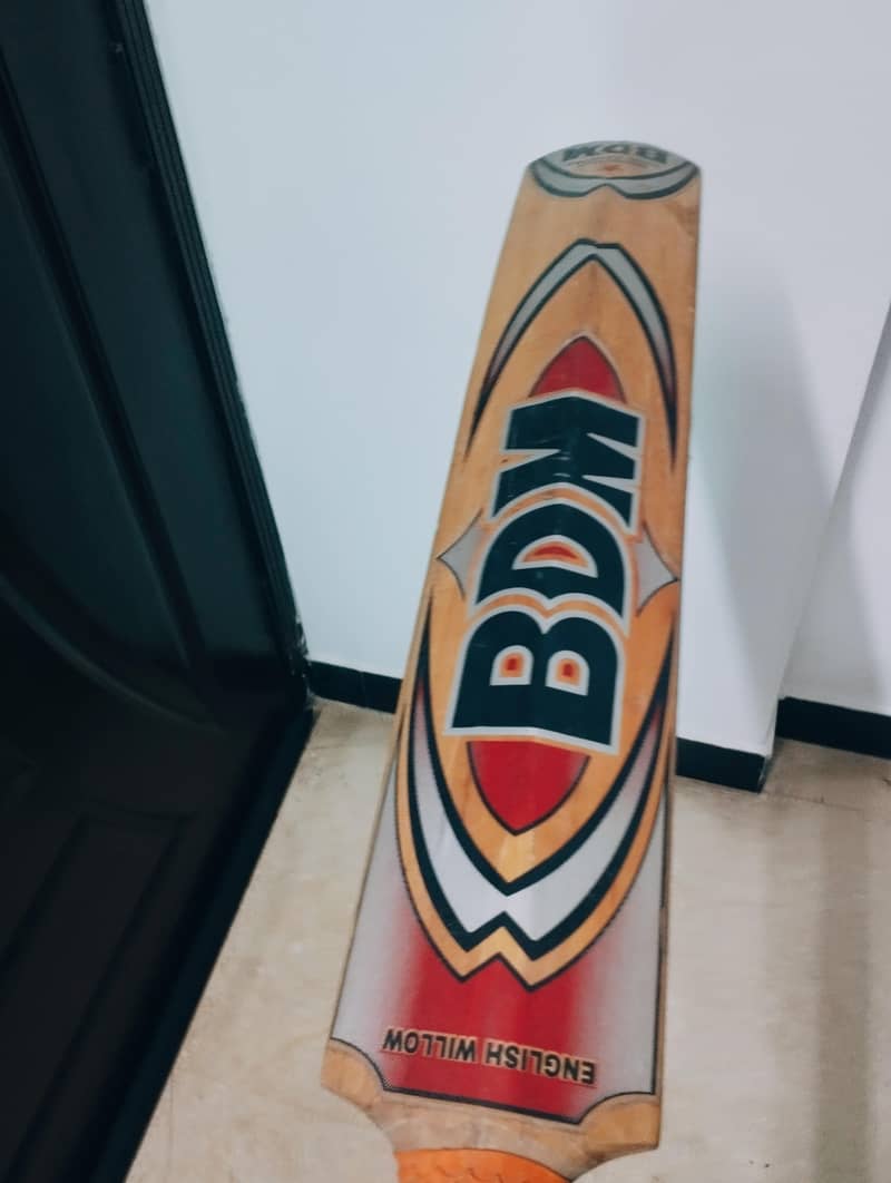 professional cricket bats 1