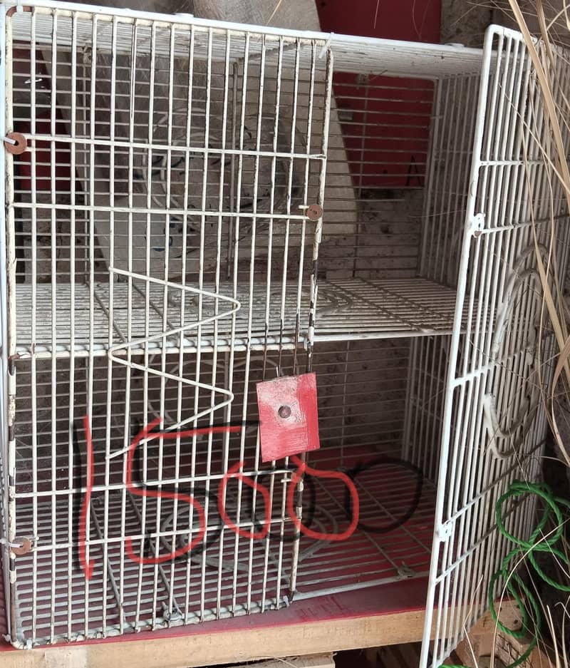 cage_ 5