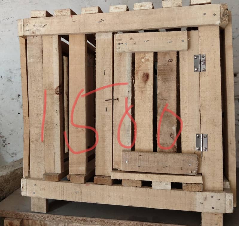 cage_ 11