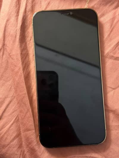 Apple iPhone 12 Pro Max