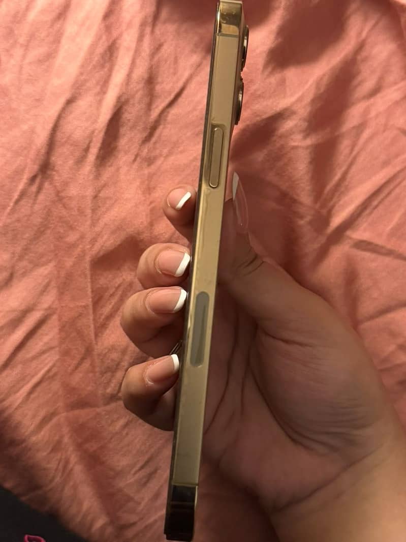 Apple iPhone 12 Pro Max 4