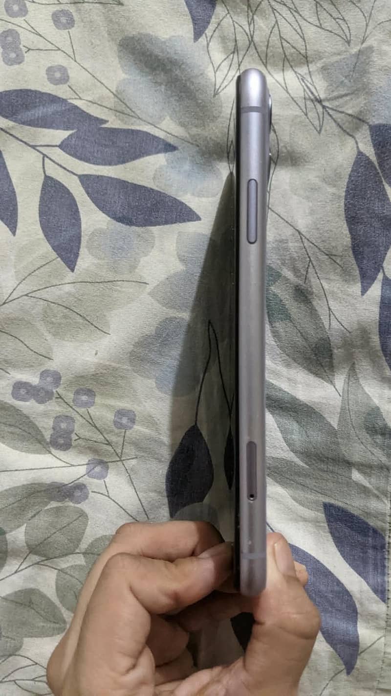 Apple iPhone 11 1