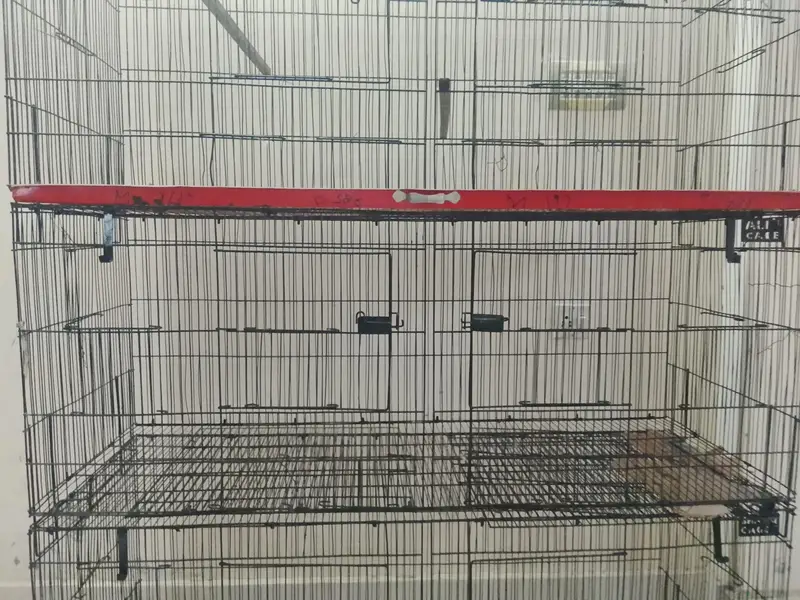 8 portion cage size 4 / 1.5 / 1.5+love birds and boxes+blue ring neck — photo 2