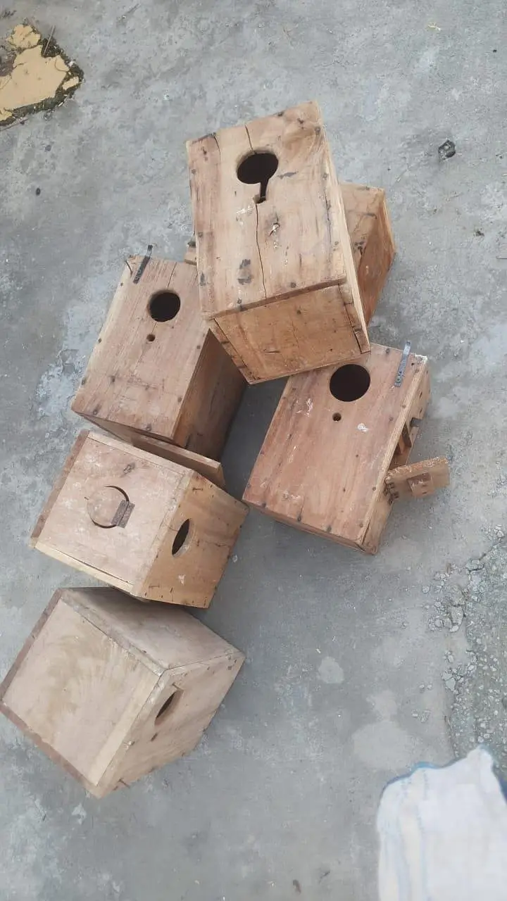 8 portion cage size 4 / 1.5 / 1.5+love birds and boxes+blue ring neck — photo 6