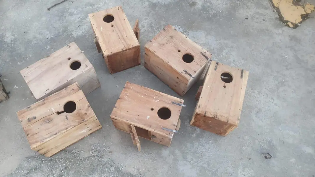 8 portion cage size 4 / 1.5 / 1.5+love birds and boxes+blue ring neck — photo 7