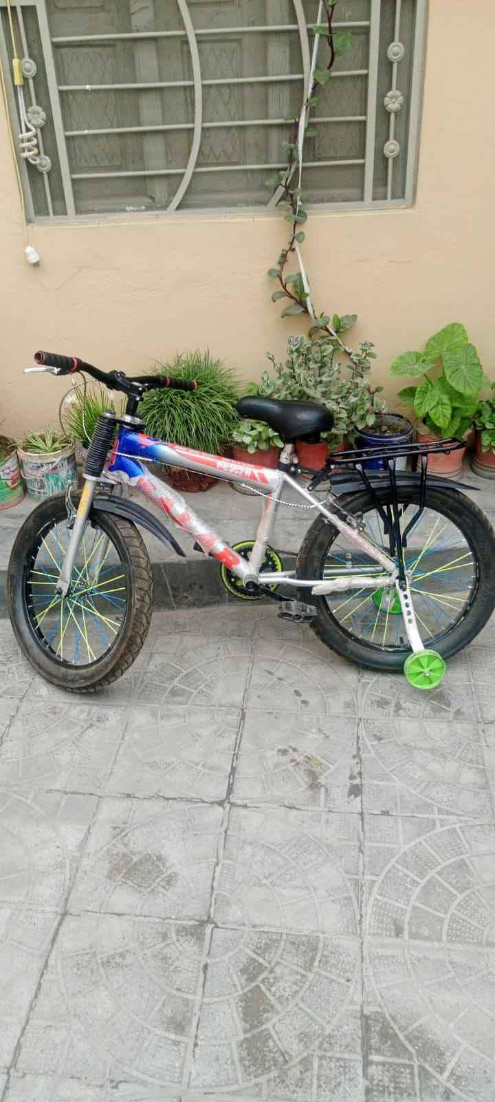 Bicycle 0
